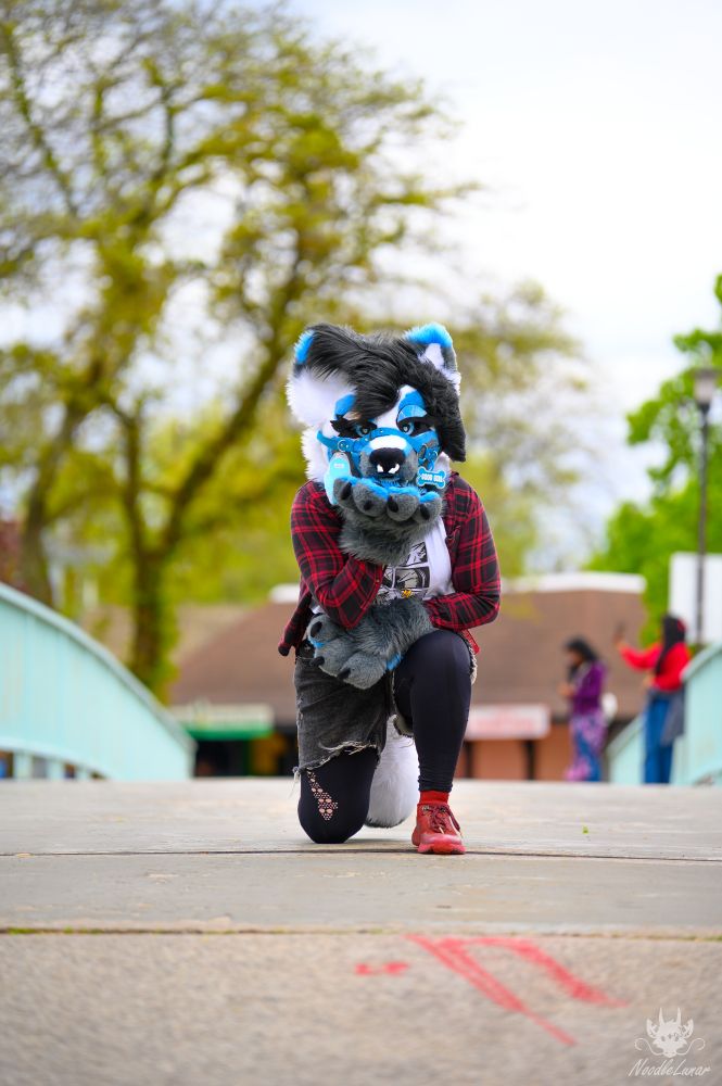 A white and blue fox fursuit worn by someone with a red flannel and shorts with leggings.