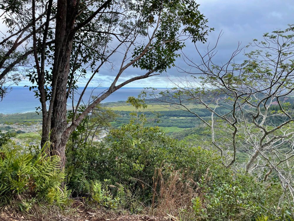 Ovean view from the trail up Nonou Mountain 