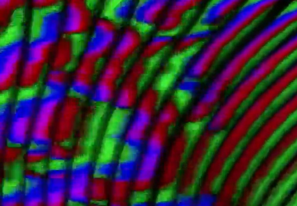 An abstract pattern featuring wavy, overlapping lines in bold colors of red, green, and blue. The lines create a layered, distorted, and vibrant visual effect with a sense of motion or texture.
