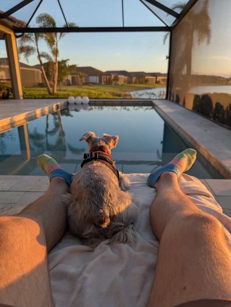 Photo of my legs lounging by the pool in Florida during golden hour with a mini schnauzer between my legs.