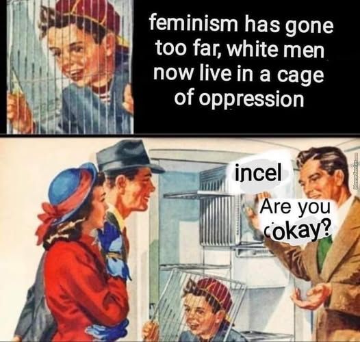 its a meme.
Kid sits behind bars. Says: feminism has gone too far, white men now live in a cage of oppression.
Zooming out and it turns out, its holding the bars of a freezer in his face, pretending to be in prison. Dad asks: incel, are you okay?