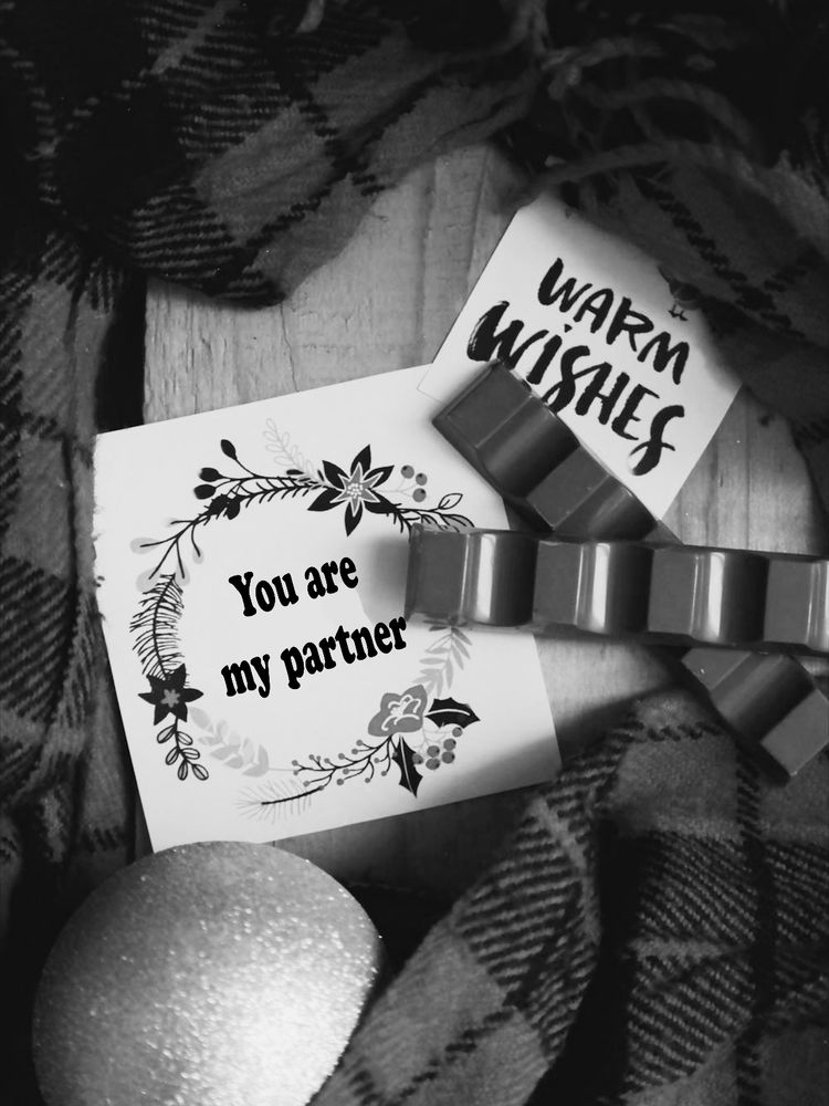 Black and whte picture of a scarf circling two chocolate bars, a Christmas ornament and two square cards. The first card says "warm wishes" and the second one "you are my partner".