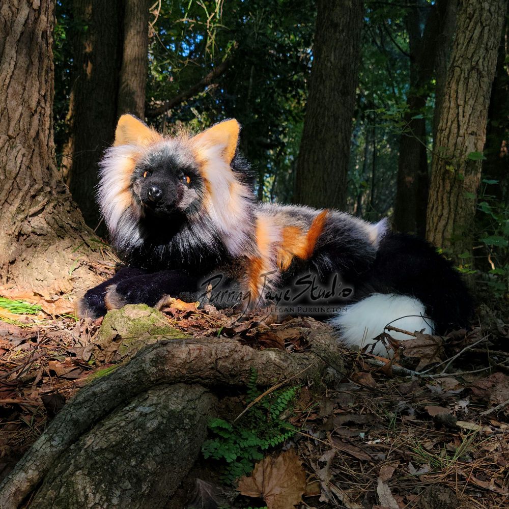 Realistic cross fox plush in the forest viewed from a low angle. Fox and foreground in sunlight, shadowed trees in the background.