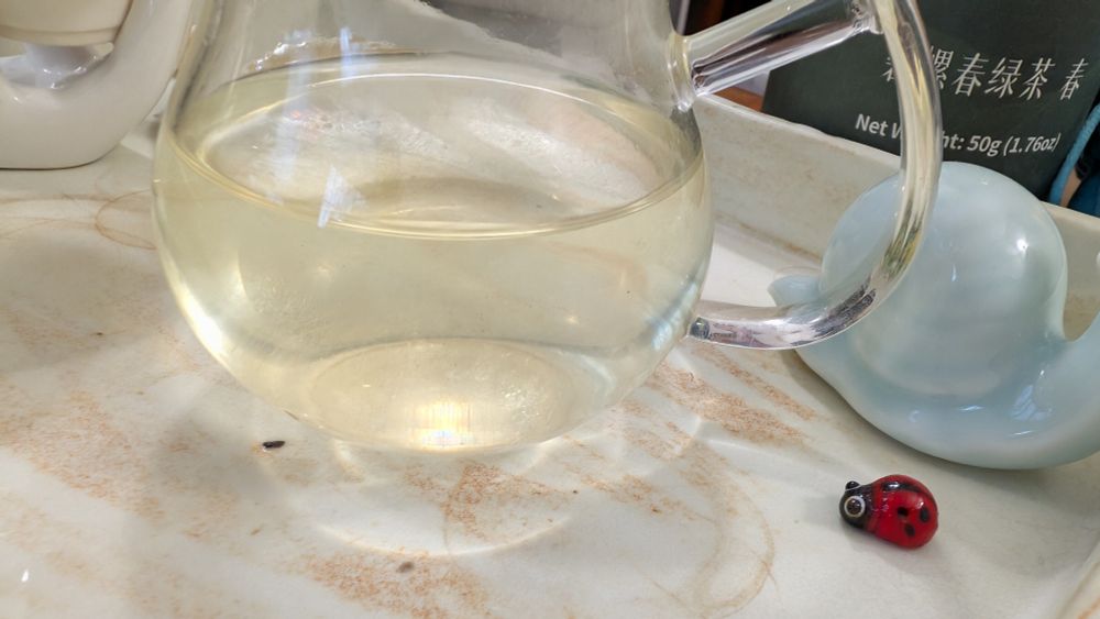 Light refracts through the belly of a clear glass tea pitcher making arcs on the textured surface of the white ceramic tea tray. To the right there is a small glass ladybug and the shell of a celadon snail. 