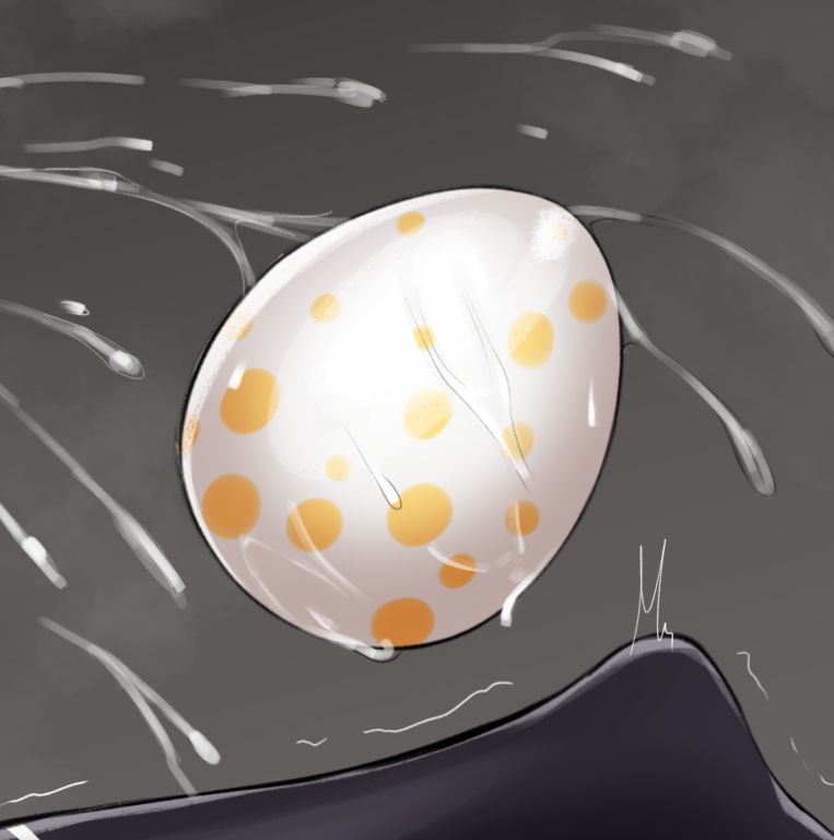 A comically large egg with yellow spots, definitely not associated with Dokibird