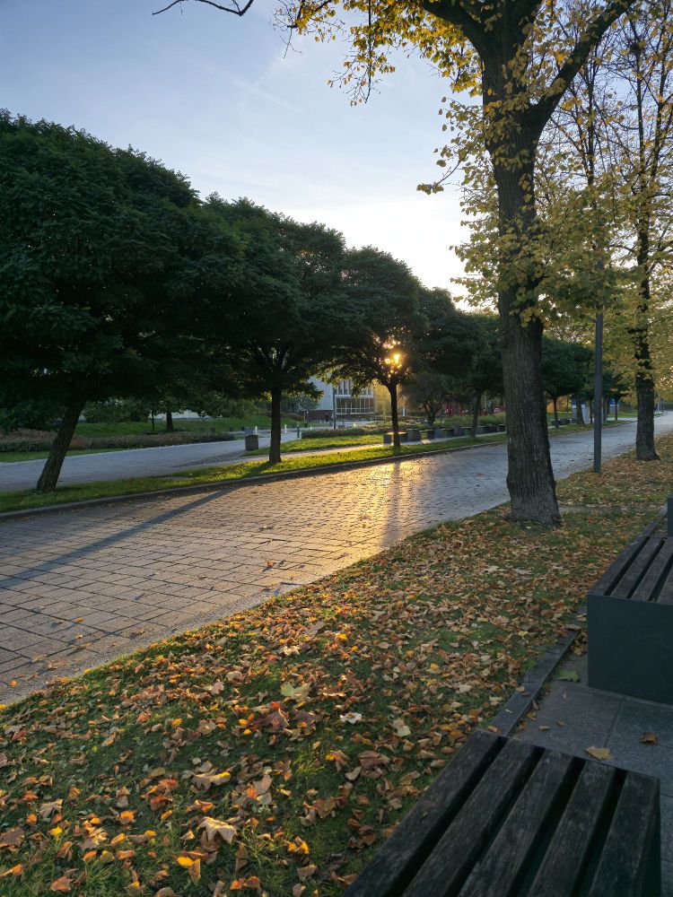 Photo of a university campus early in the morning