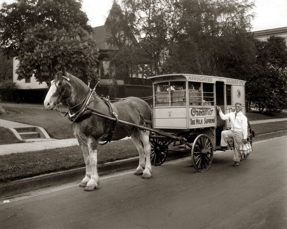 Horse drawn milk delivery cart and milkman. 1935.