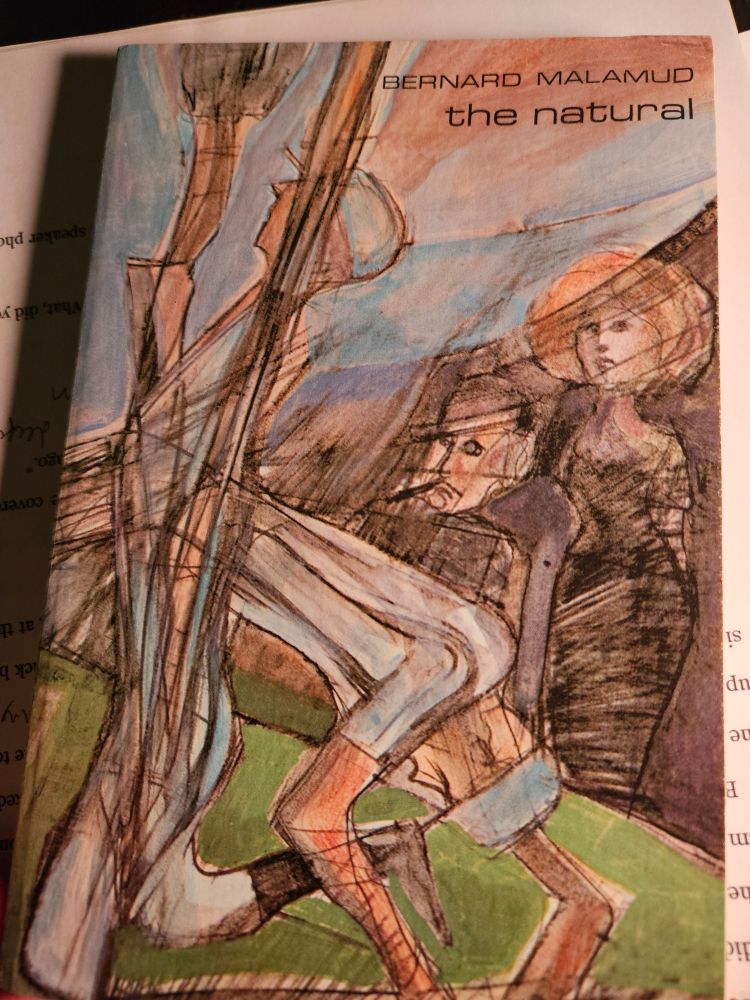 Cover art for The Natural by Malamud showing Bump Bailey crashing thru the outfield wall
