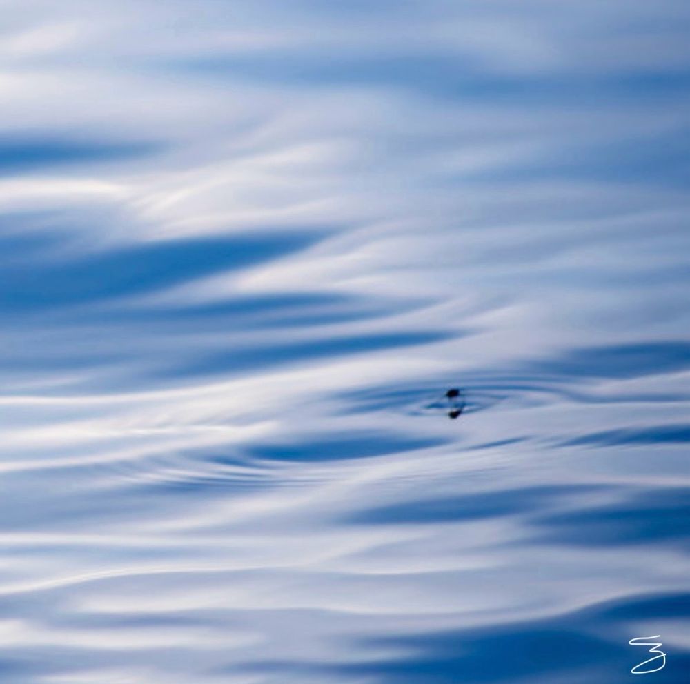 lake water with insect skimming surface of water reflecting the distant blue sky