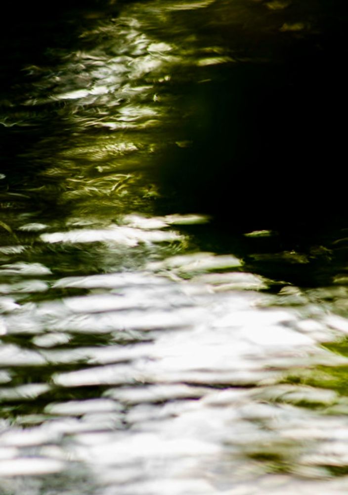 Sunlight on the surface of a lake