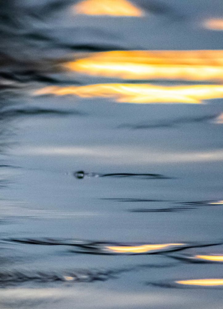 summer lake water at sunset