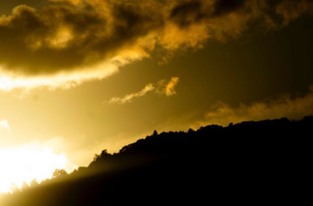 my (then) new backyard on grief, at sunrise or sunset