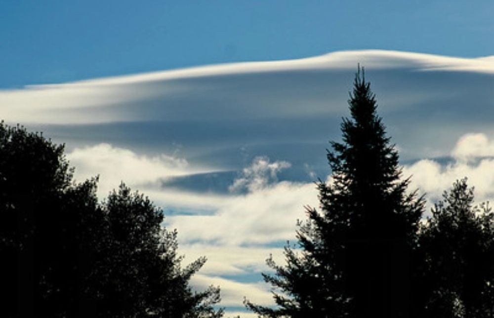 trees, cloud, trees (over unseen foothills)