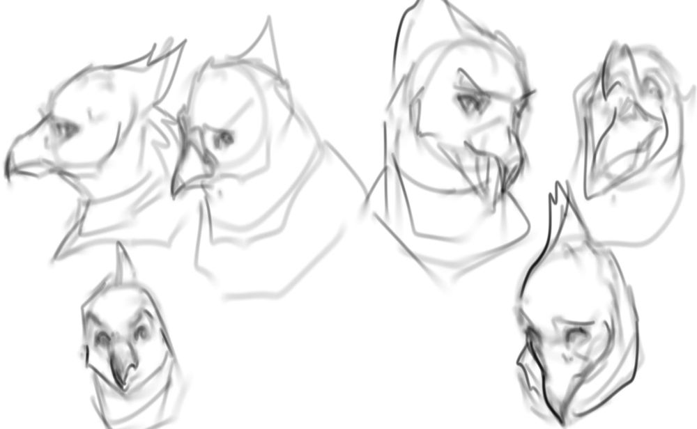bird expressions