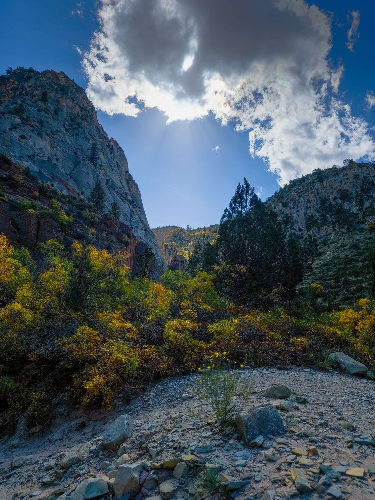 Beautiful Autumn day along the trail leading to the Red Hollow Slot Canyon in Utah. 
