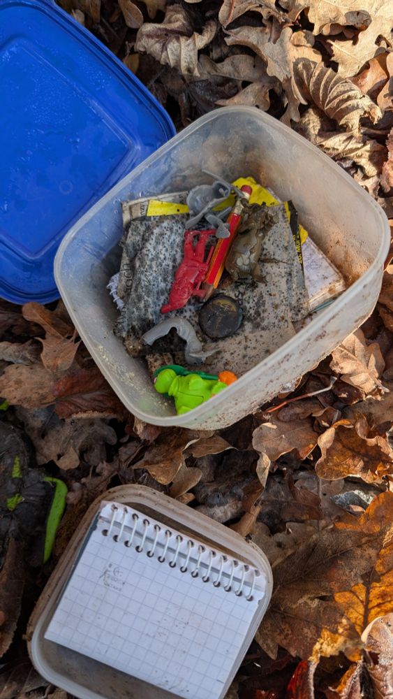 Offene Tupperdose für Geocaching am Waldboden. Inhalt schimmlig und vergammelt.