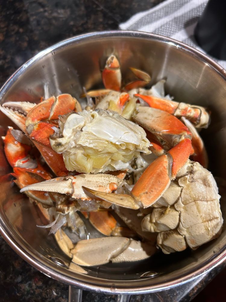 A pot filled with Dungeness crab
