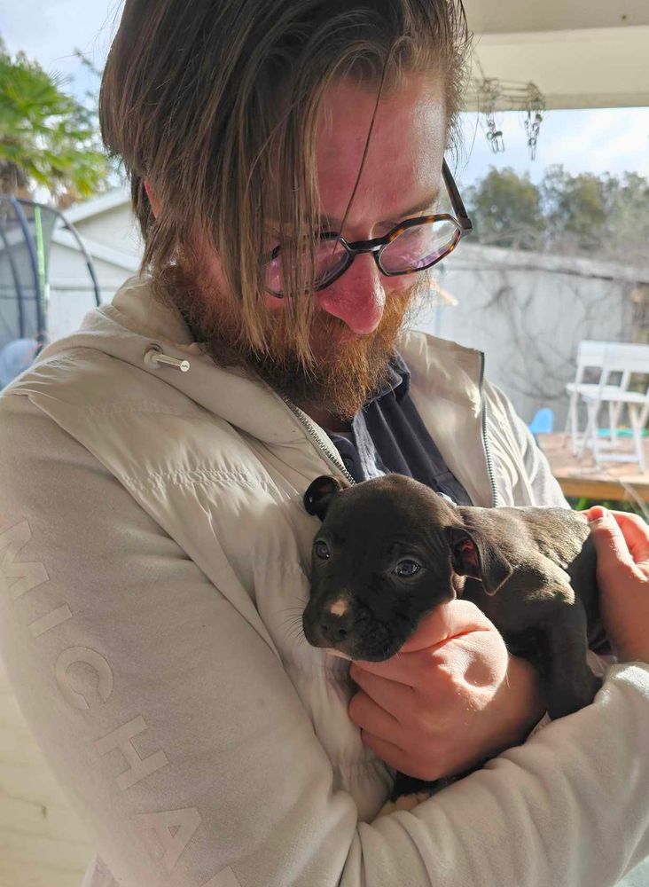 man holding a staffy puppy