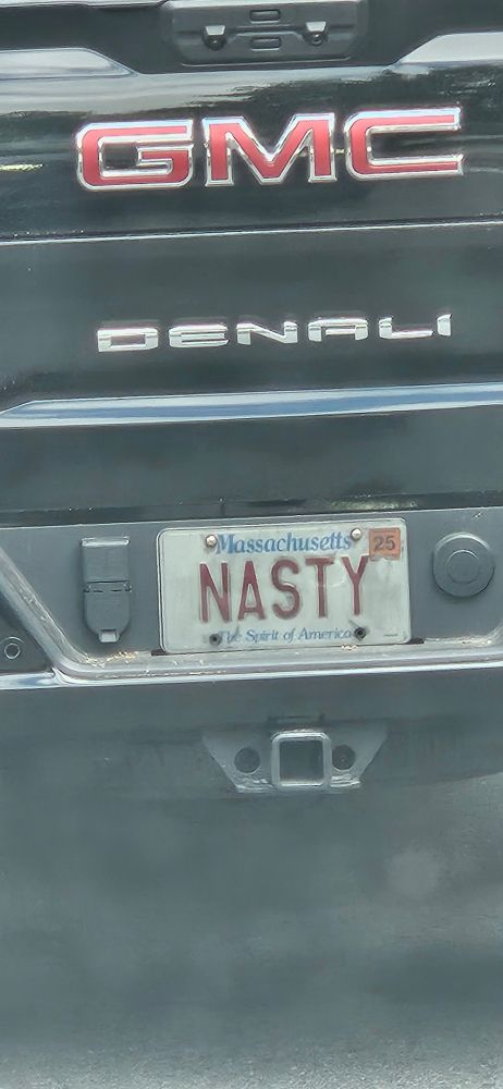 license plate: NASTY