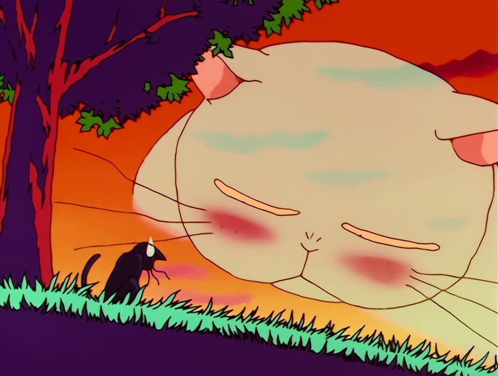 Luna the cat having a vision of Rhett Butler, a huge fat pale blue cat who had a crush on her. She did not return his affections, which is her loss.