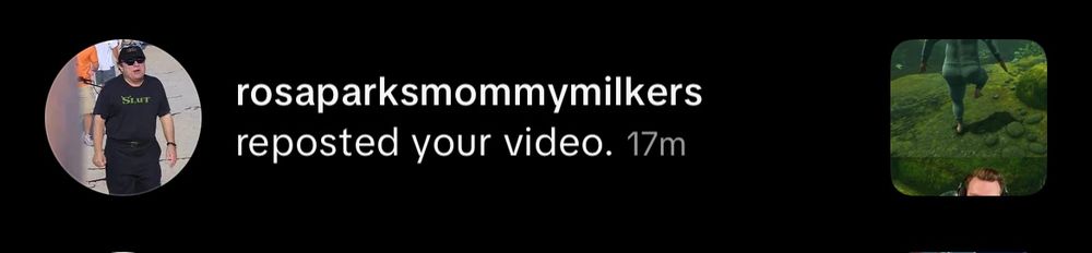 Tiktok user named “rosaparksmommymilkers” 