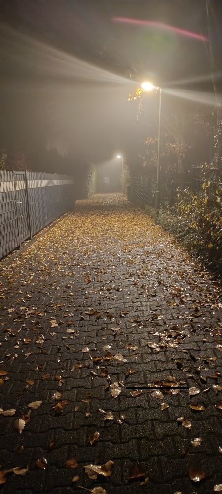 A dark, paved walkway covered in wet, autumn leaves at night, illuminated by a streetlamp and dense fog creating a strong light halo.
By you I am taught
A way of love that never suits into a thought