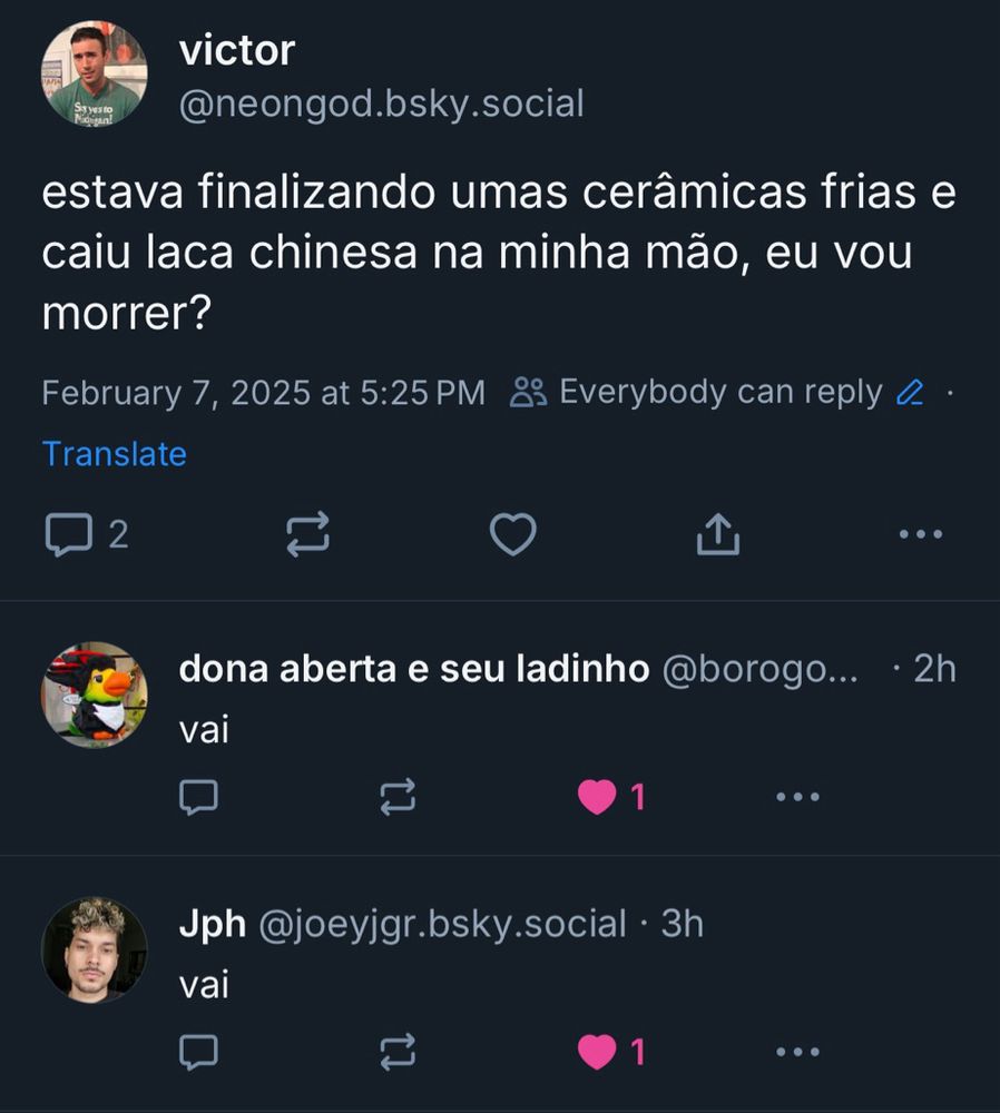 print de tela com dois post seguidos em resposta ao meu post original. ambos dizem apenas "vai"