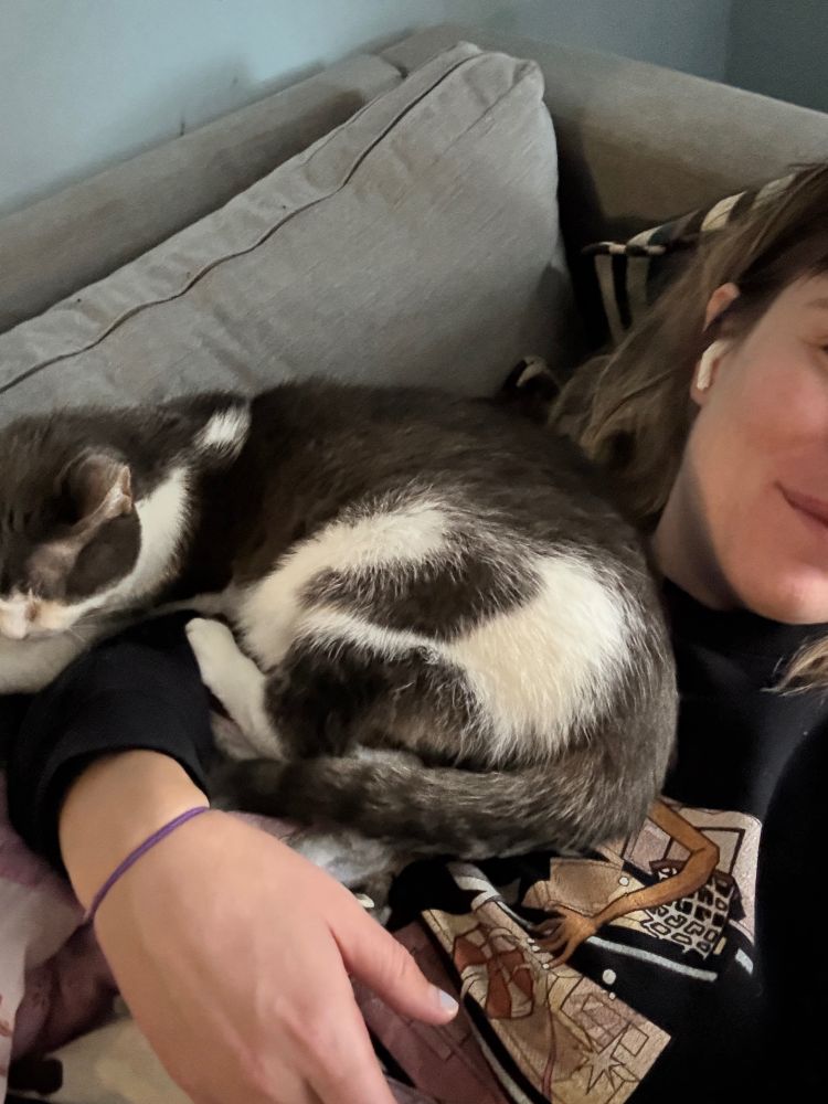 A brown and white Aegean cat curled on the stomach and arm of a human - her back paws and tail tip are resting in the crook of the human’s elbow, and their head is planted firmly on their forearm. The cat appears to be sleeping.