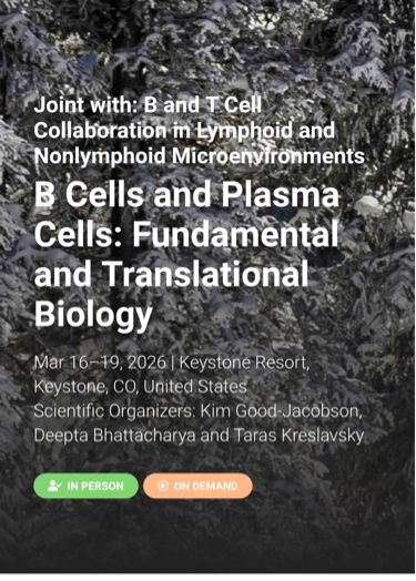 Keystone Symposia conference in 2026 for B cells and plasma cells, in Keystone Colorado