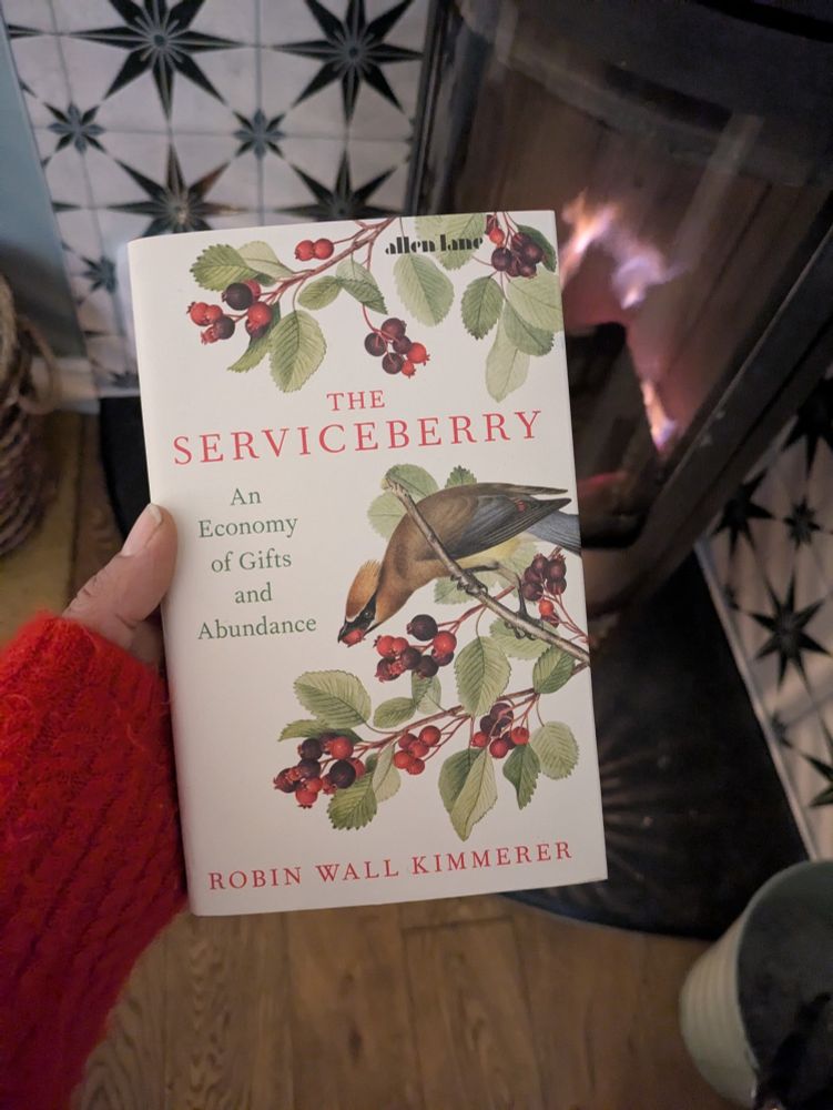 A hand with a red sleeve holds a copy of the Serviceberry, the new book by Robin Wall Kimmerer. On the front is a bird holding a berry in its beak. Behind are star print tiles and a woodburner. 