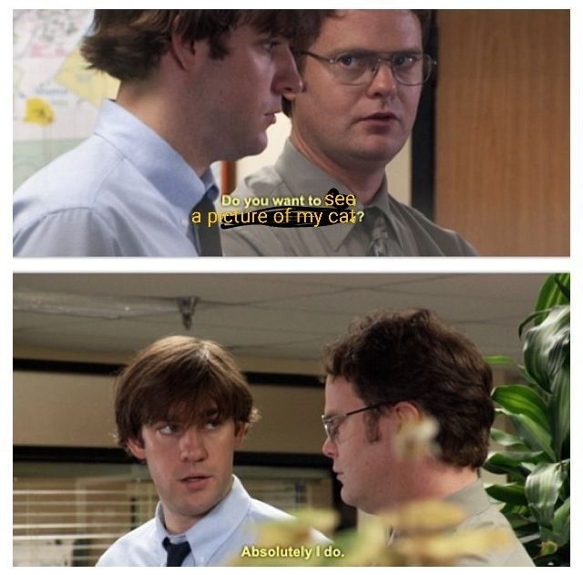 Jim and Dwight from The Office show. The closed captioning indicates that Dwight's dialogue is edited to read "Do you want to see a picture of my cat?" And Jim's unedited reply is "Absolutely I do."