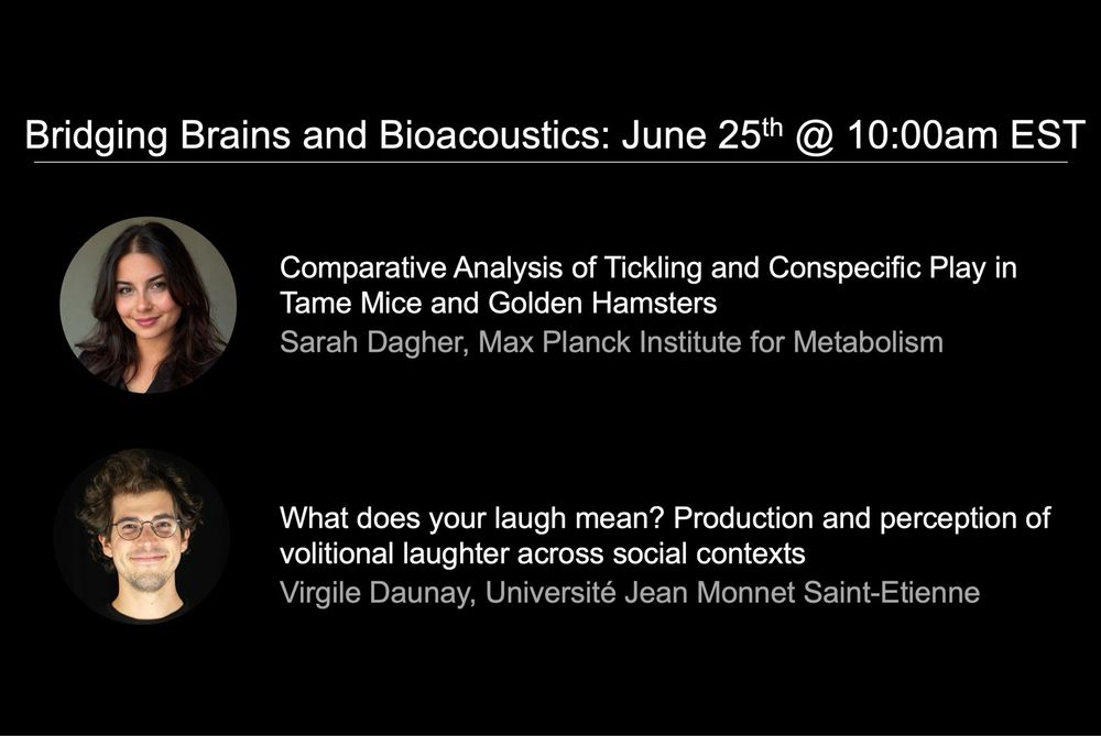 Bridging Brains and Bioacoustics seminar on June 25th at 10:00am EST

From Sarah Dagher: Comparative Analysis of Tickling and Conspecific Play in Tame Mice and Golden Hamsters

From Virgile Daunay: What does your laugh mean? Production and perception of
volitional laughter across social contexts