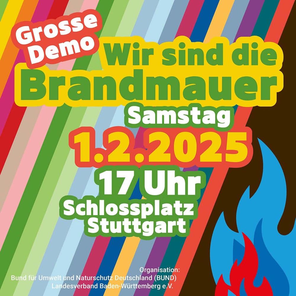 Das Bild zeigt (interpretiert) einen Aufruf zu einer Demonstration zur Aufrechterhaltung der demokratischen Instrumente. 
Dazu wird für Samstag, den 01.02 um 17Uhr eine Veranstaltung in Stuttgart auf dem Schlossplatz stattfinden. 