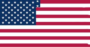 Future american flag