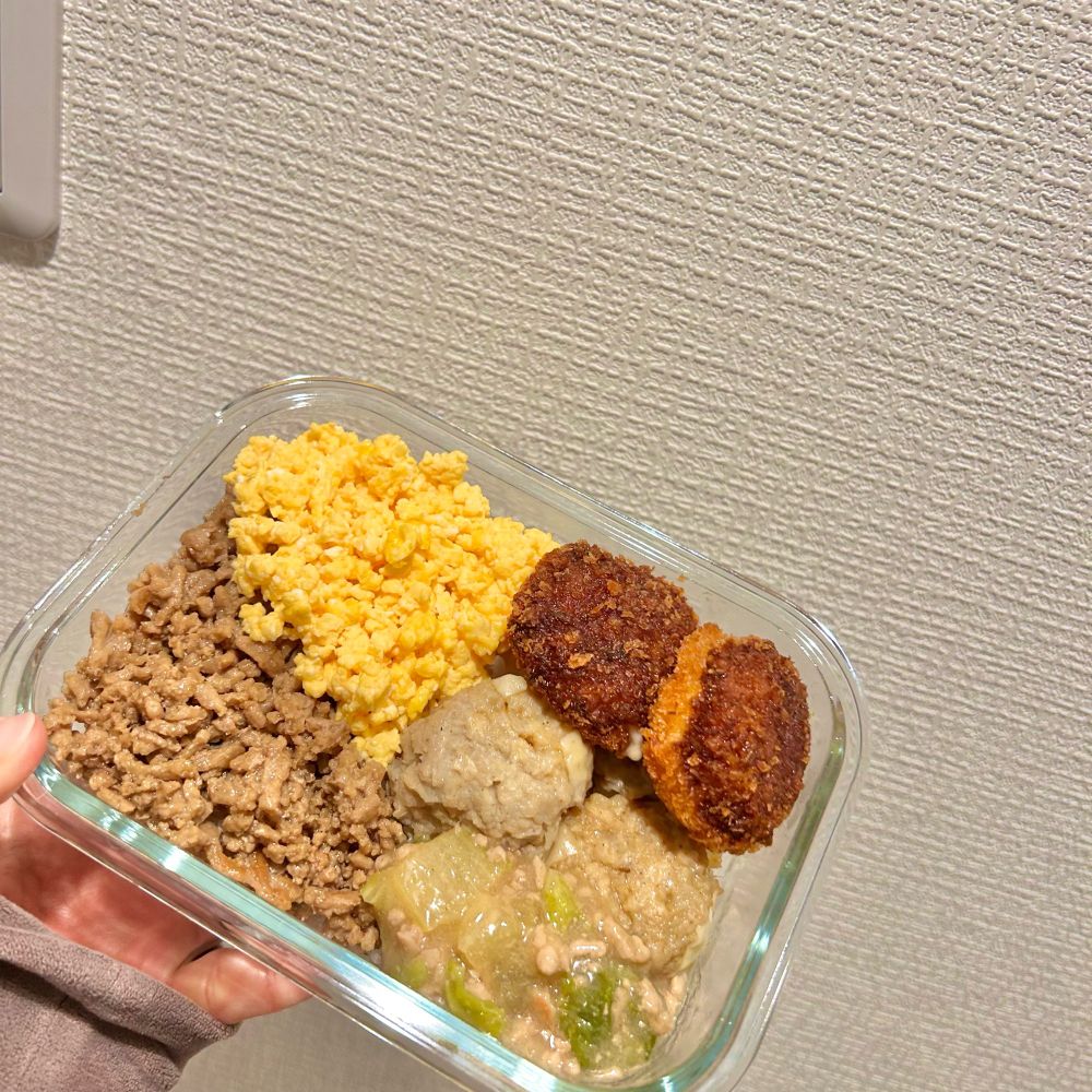 そぼろ丼、白菜そぼろ煮、焼売、チーズカツみたいなやつ(冷凍)