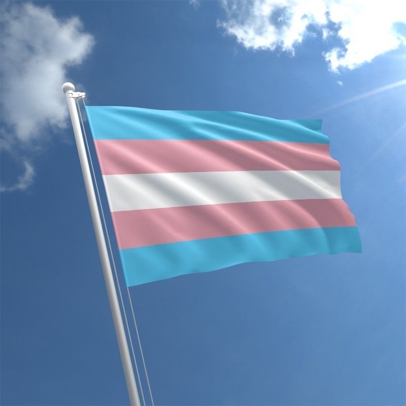 Blue pink and white transgender flag on a flag pole against a blue sky with a few clouds on a bright sunny day