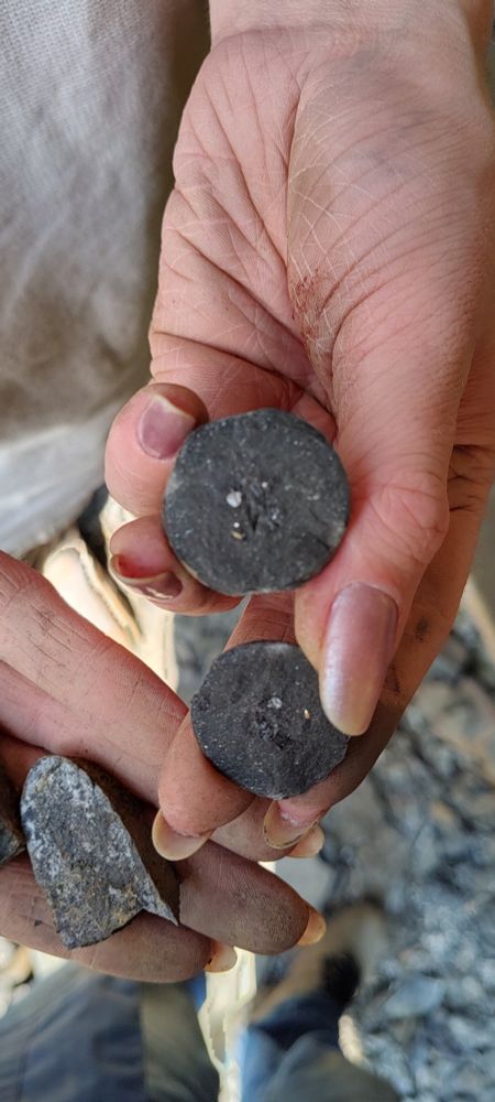Parte de um organismo fóssil dentro de uma concreção 