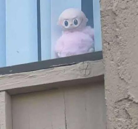 bald lafufu (fake labubu) staring out of window