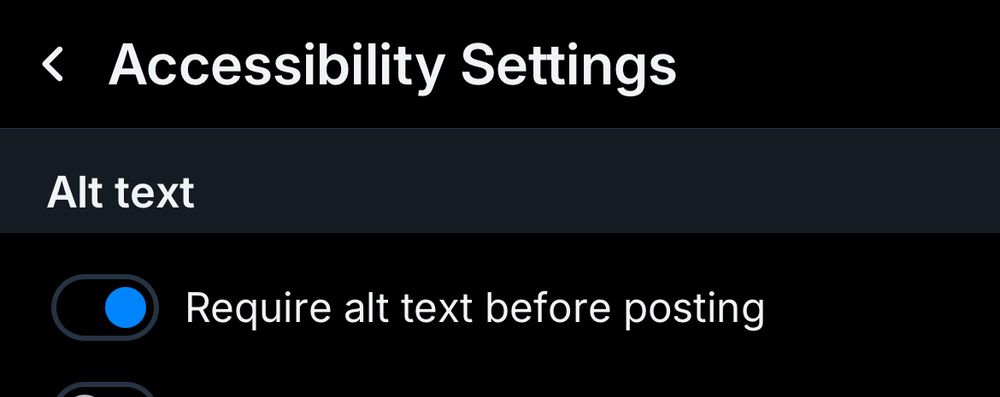 Accessibility Settings
Alt text
Require alt text before posting (toggled ON)
