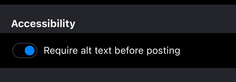 Screenshot of the Setting page showing the Accessibility section with the button for “Require alt text before posting” toggled on