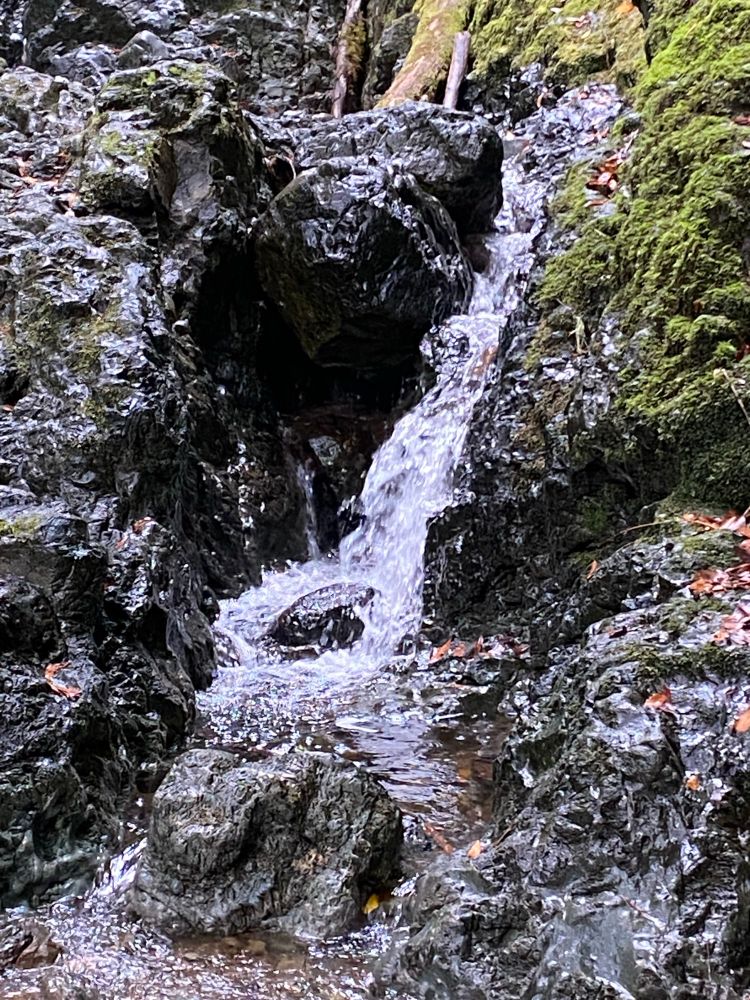 Lovely little babbling creek waterfall 