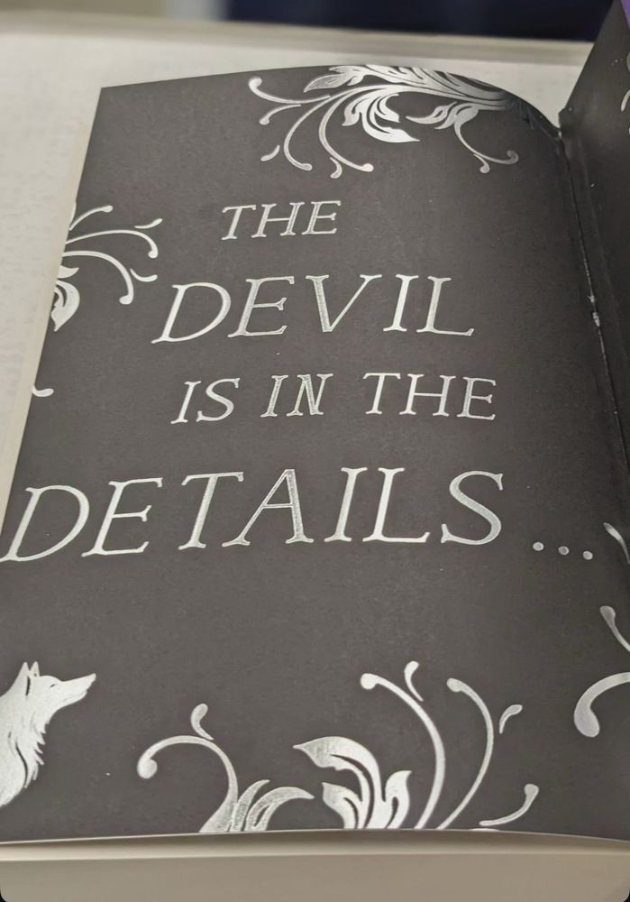 the inside cover of a book. the copy reads ‘the devil is in the details…’
