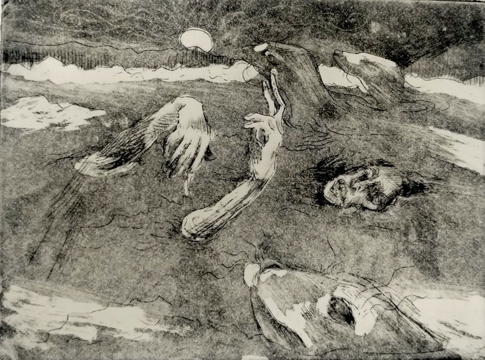 copperplate. seals and a frozen body in the arctic