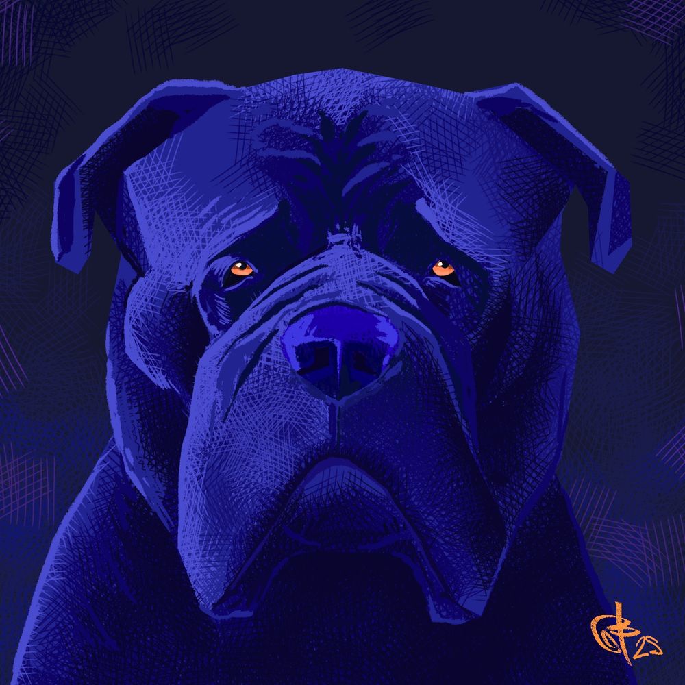 Illu d'un cane corso
