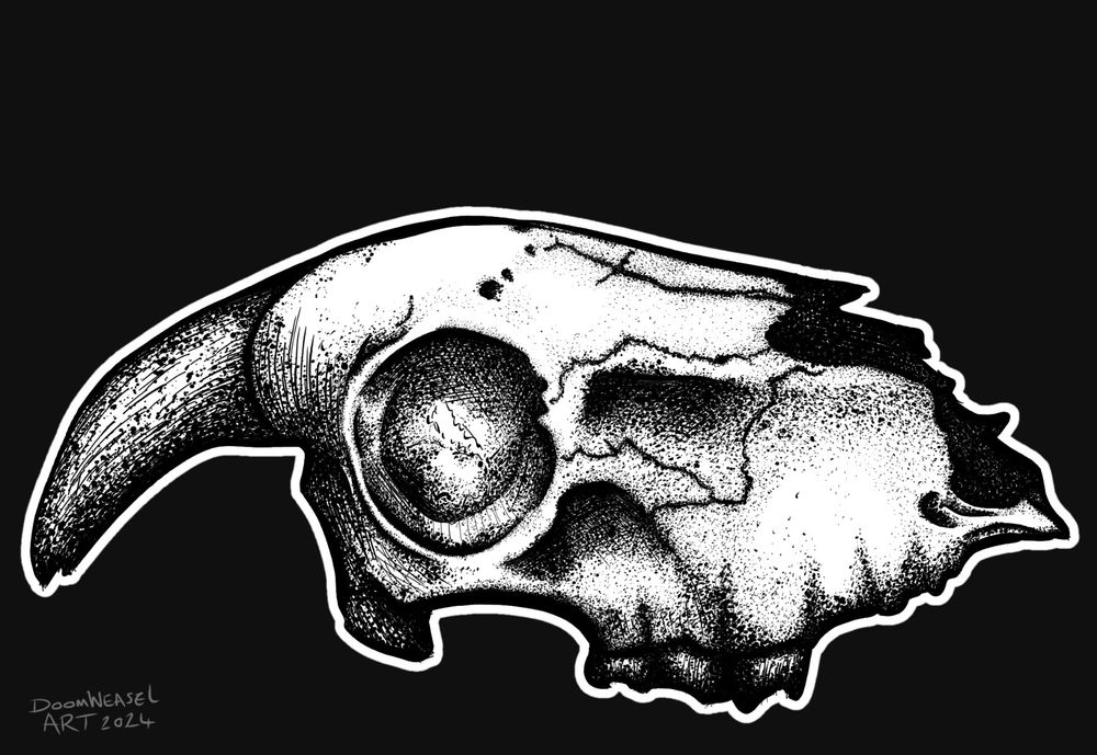Black and white digital illustration of a sheep skull on a dark grey background