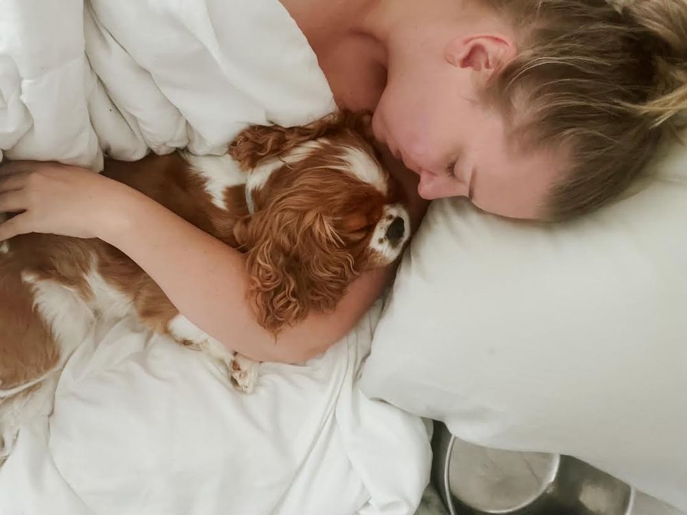 A woman sleeps with a Cavalier King Charles Spaniel laying sleeping in her arms.