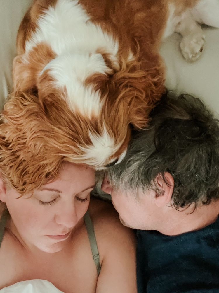 A couple are seen snuggling while a Cavalier King Charles Spaniel lays with his head draped over their faces.