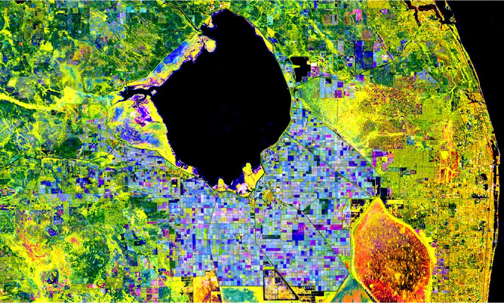 Data gathered in 2017 by the European Sentinel-1 SAR satellite program shows changes to croplands in the region southeast of Florida’s Lake Okeechobee. Colors in the fields indicate various crops in different parts of their growth and harvest cycles. NISAR will gather similar data in L- and S-band radar frequencies. Credit: ESA; processing and visualization by Earth Big Data LLC.