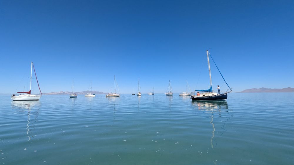 A group of sailboat sits out waiting to head back to the marina in a parade 