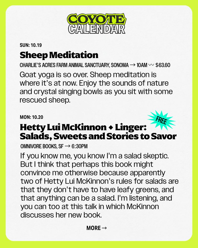 SUN: 10.19
Sheep Meditation
Goat yoga is so over. Sheep meditation is where it's at now. Enjoy the sounds of nature and crystal singing bowls as you sit with some rescued sheep.
Charlie's Acres Farm Animal Sanctuary, Sonoma → 10Am 〰️ $63.60

MON: 10.20
Hetty Lui McKinnon • Linger: Salads, Sweets and Stories to Savor
If you know me, you know I'm a salad skeptic. But I think that perhaps this book might convince me otherwise because apparently two of Hetty Lui McKinnon's rules for salads are that they don't have to have leafy greens, and that anything can be a salad. I'm listening, and you can too at this talk in which McKinnon discusses her new book.
Omnivore Books, SF → 6:30pm